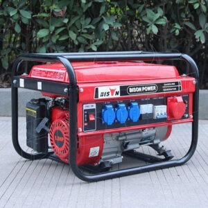 Bison® Portable Gasoline Generator (2KW)