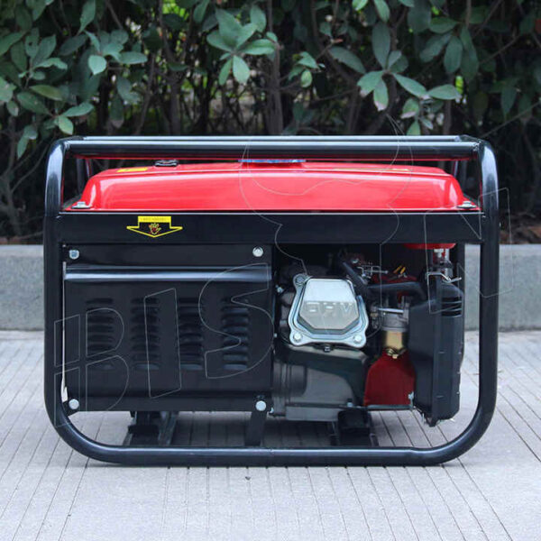 Bison® Portable Gasoline Generator (2KW) - Image 5