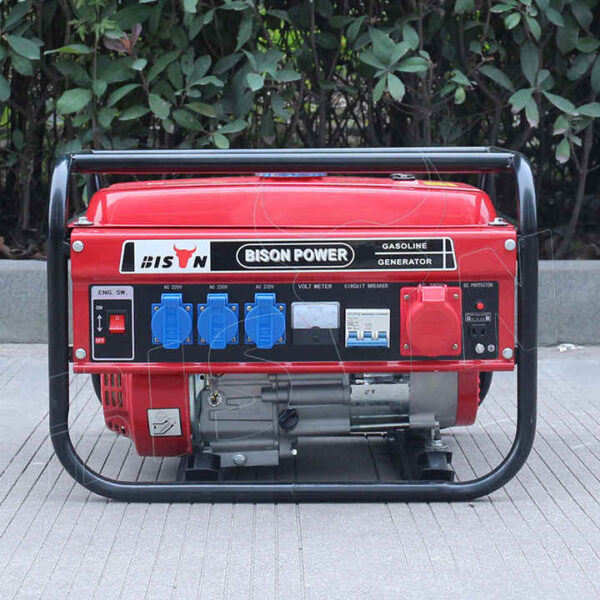 Bison® Portable Gasoline Generator (2KW) - Image 3