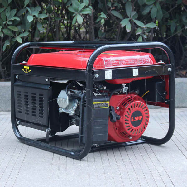 Bison® Portable Gasoline Generator (2KW) - Image 2