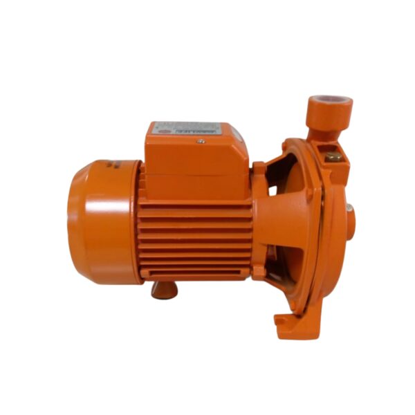 DAYLIFF® Water Pump (1 HP) - Image 4