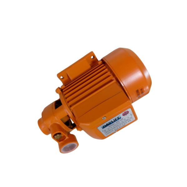 DAYLIFF® Water Pump (1 HP) - Image 3
